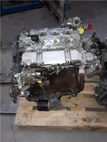 Inyecciondenso motore - inyecciondenso,